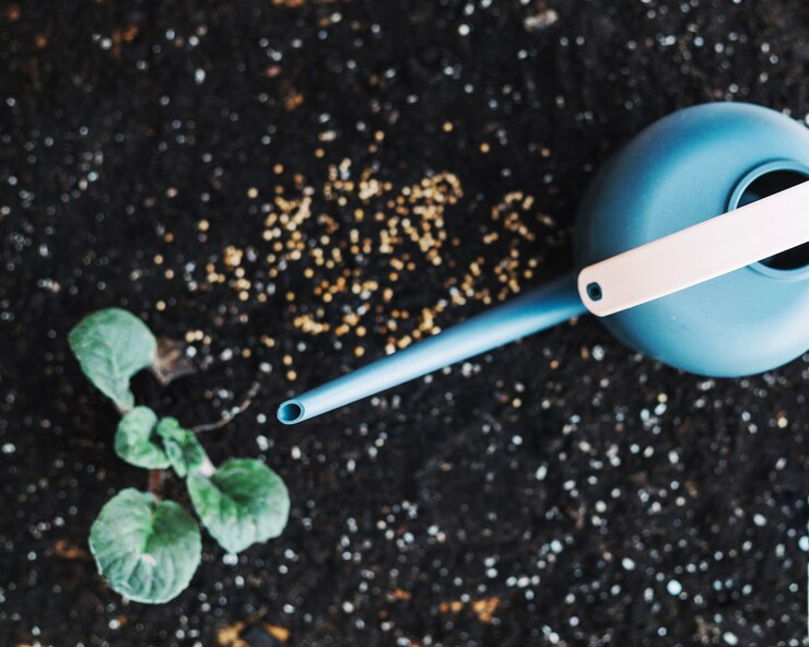 <span>Solo</span> nutrido, <span>colheita</span> garantida